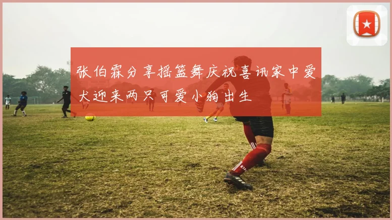 张伯霖分享摇篮舞庆祝喜讯家中爱犬迎来两只可爱小狗出生